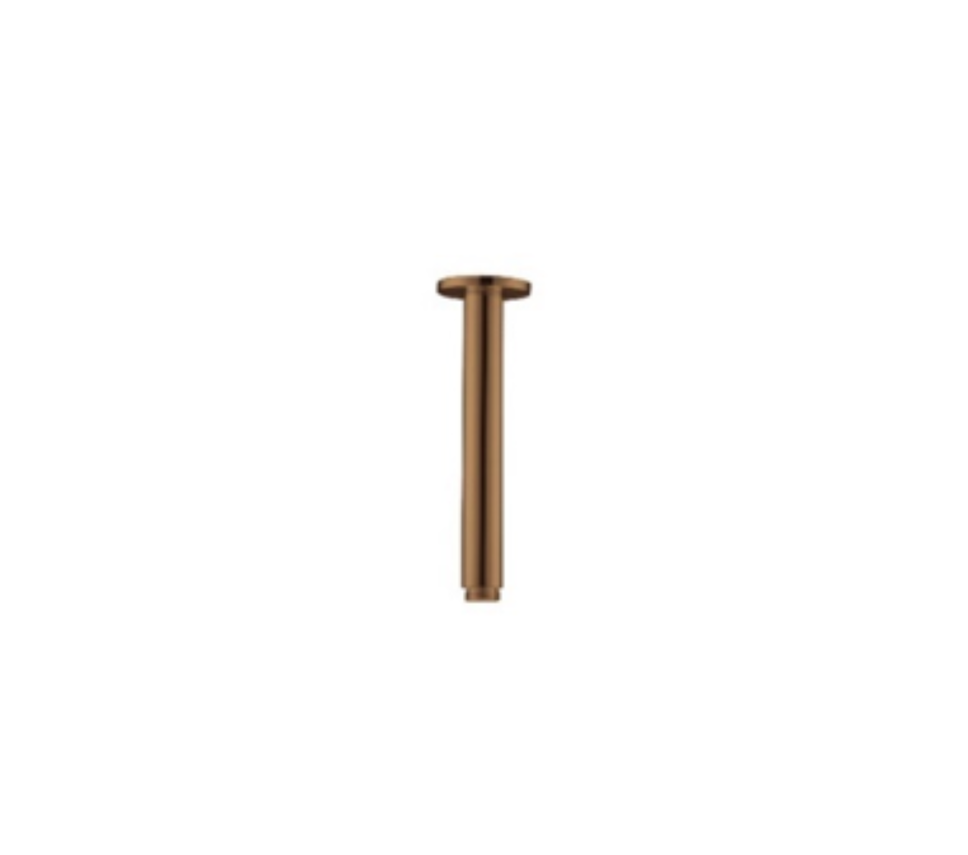 Celing Mounted Shower Arm