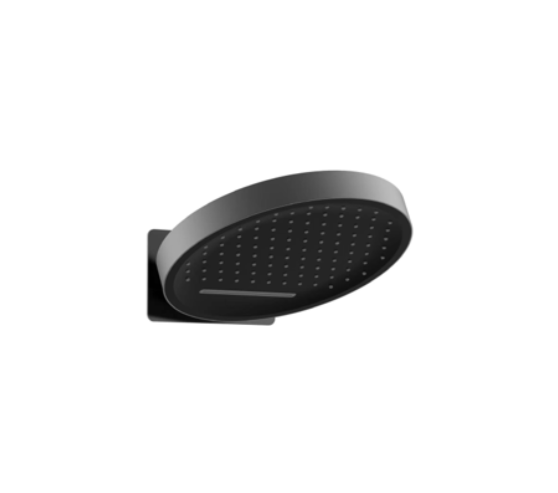 Concealed 2 Function Head Shower