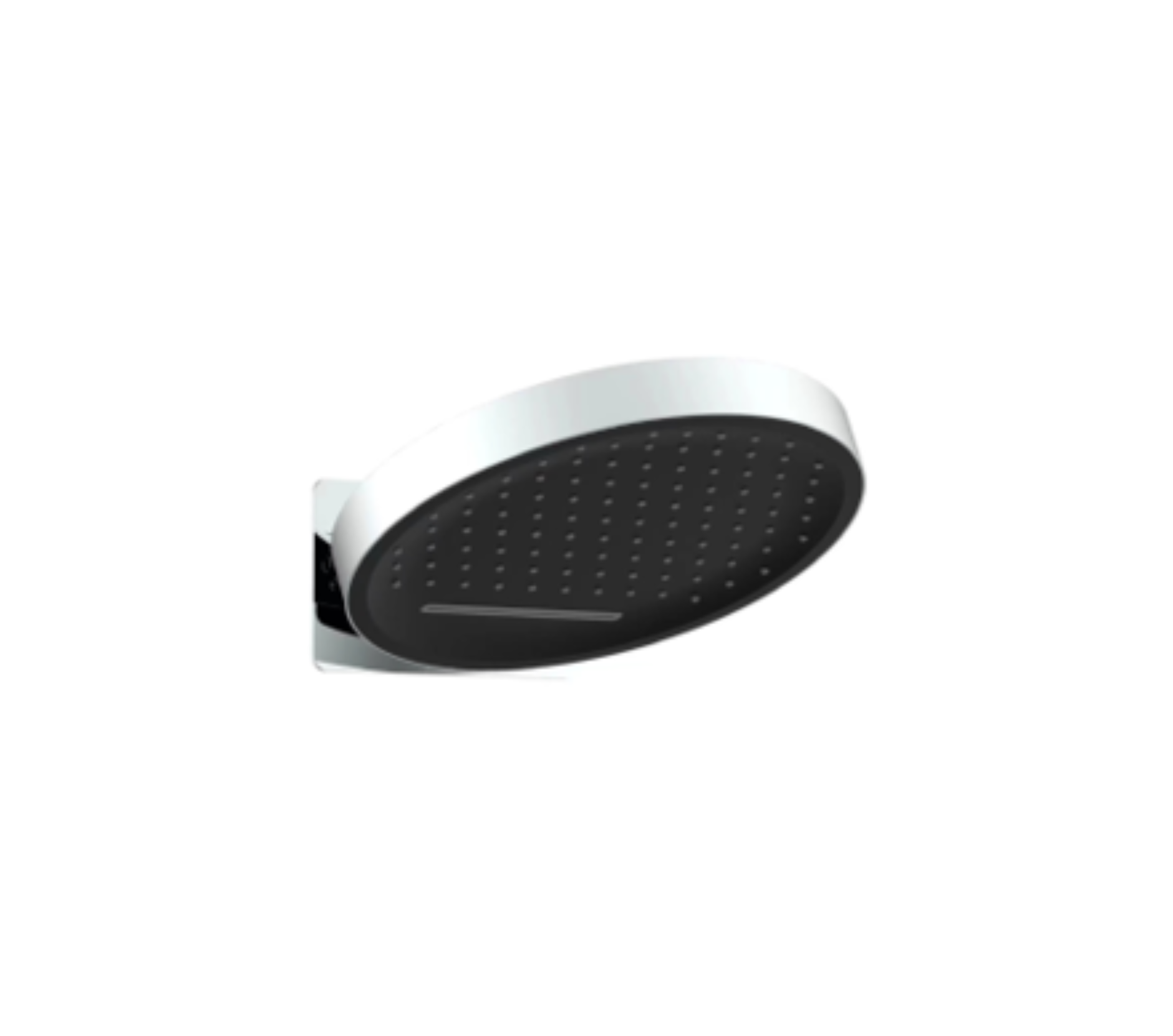 Concealed 2 Function Head Shower